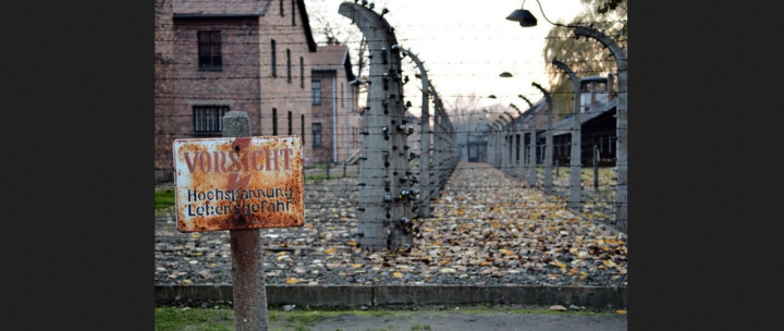 Screenshot_2024_12_29_at_14_43_44_Auschwitz_10900664416_768x538.jpg_JPEG_Grafik_768_538_Pixel_